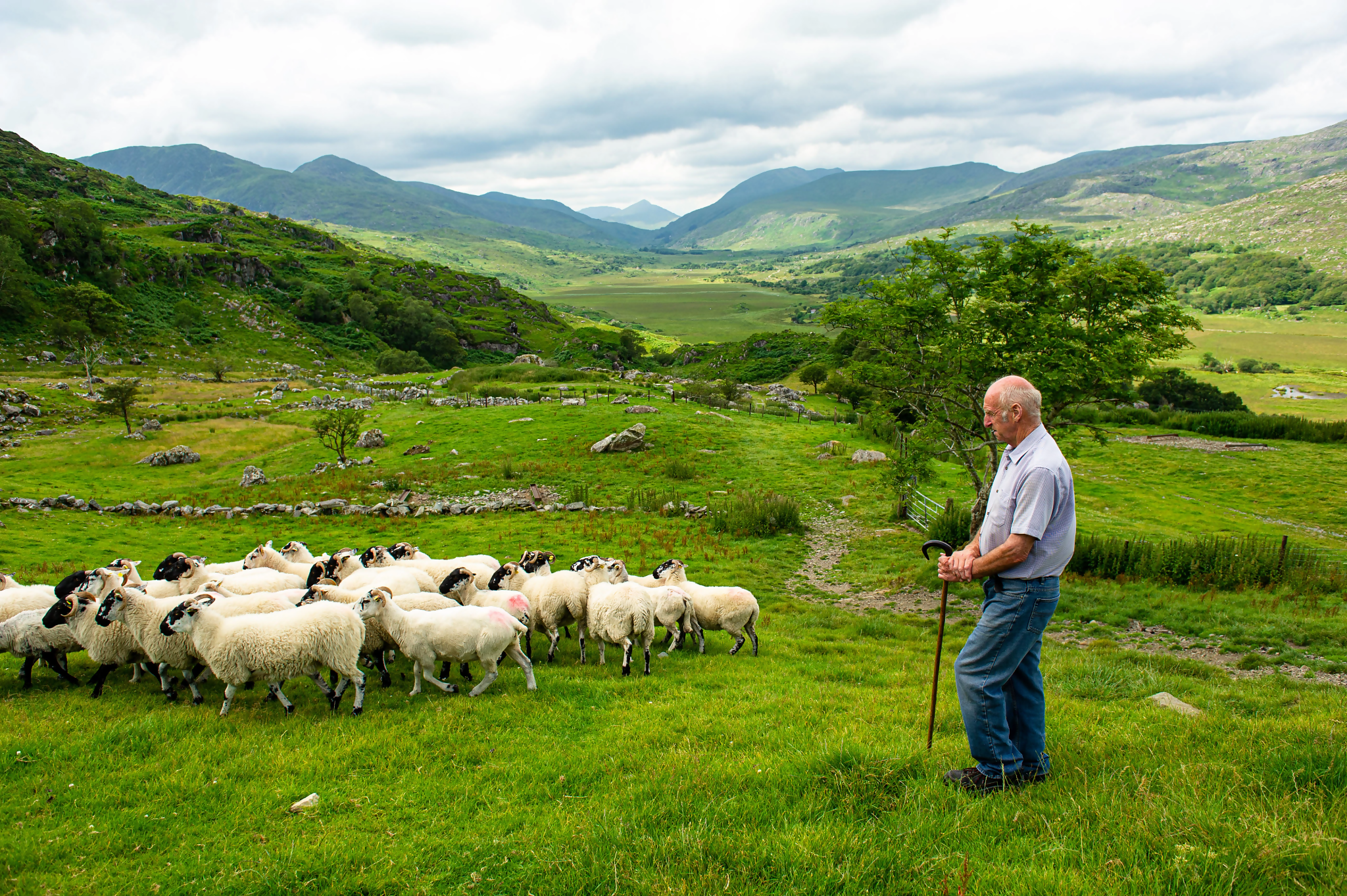 2026 Best of Ireland South (Tour B) - 7 Days/6 Nights